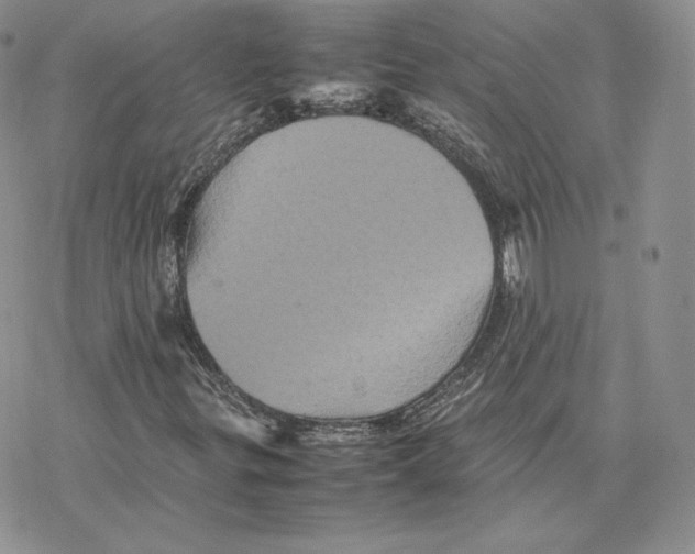 X0000077291299200611171617