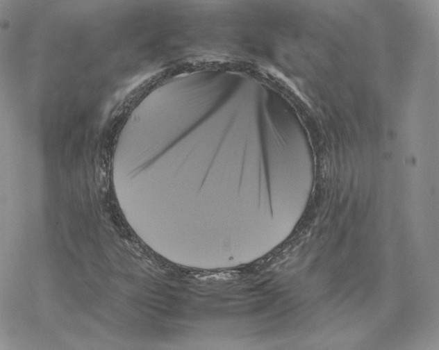 X0000077291303200611171617