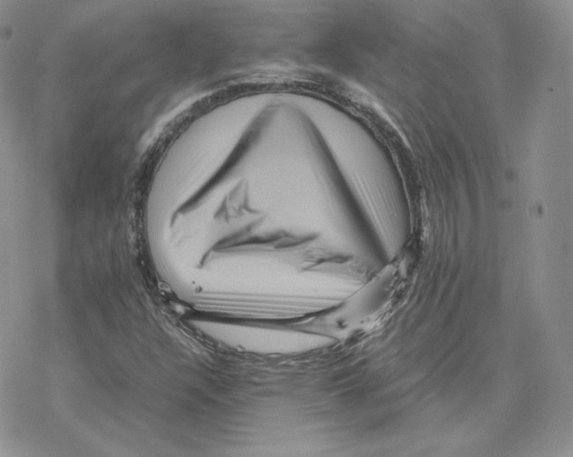 X0000077291304200611171617