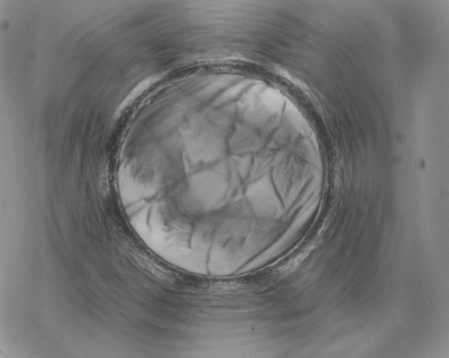 X0000077291306200611171617