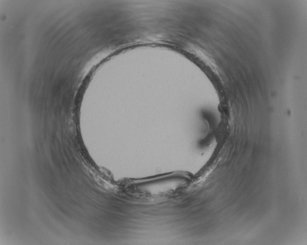 X0000077291308200611171617