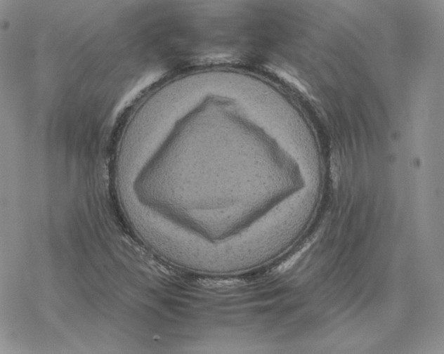 X0000077291309200611171617