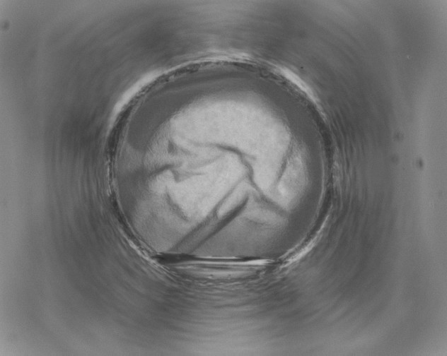 X0000077291310200611171617