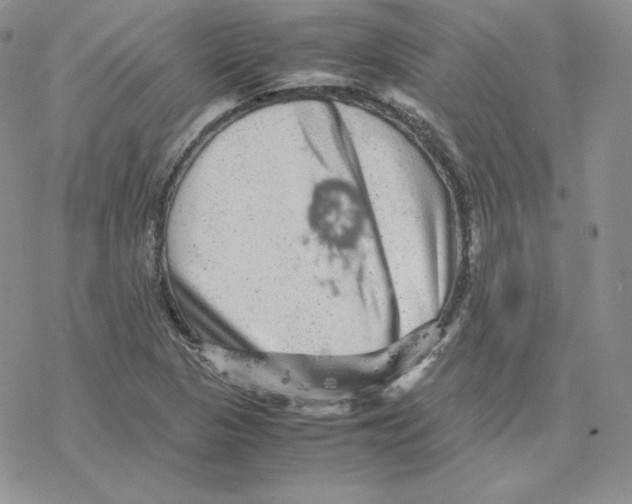 X0000077291313200611171617