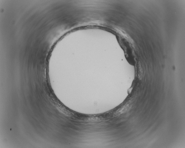 X0000077291316200611171617