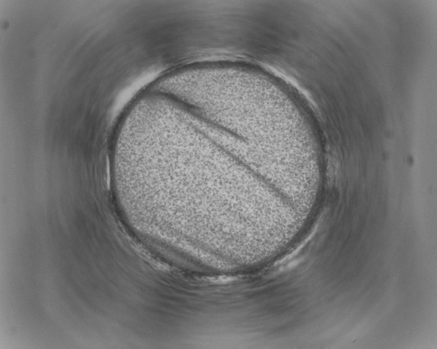 X0000077291317200611171617