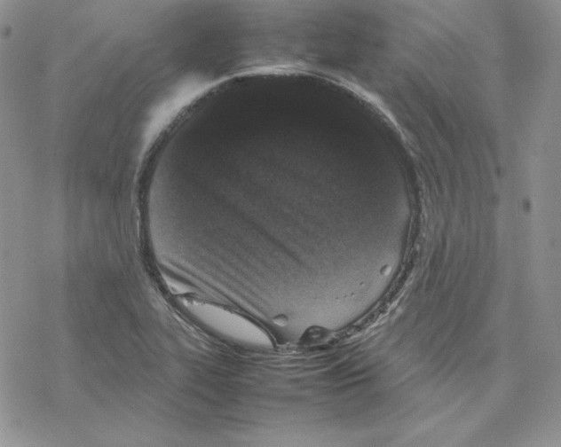 X0000077291319200611171617