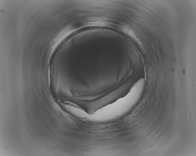 X0000077291323200611171617