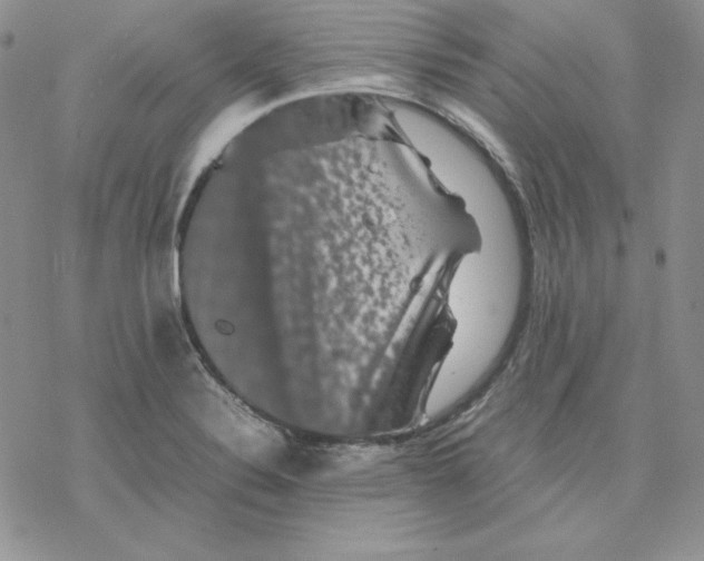 X0000077291324200611171617