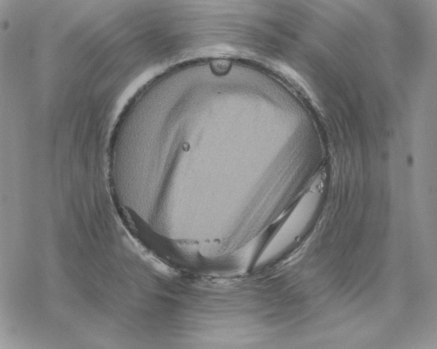 X0000077291326200611171617