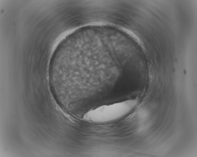 X0000077291327200611171617