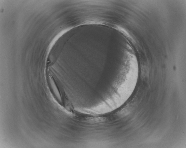 X0000077291331200611171617