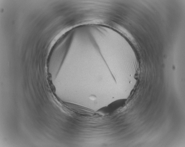 X0000077291332200611171617