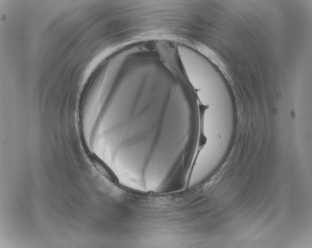 X0000077291334200611171617