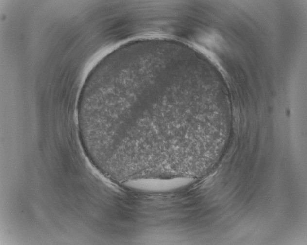 X0000077291335200611171617