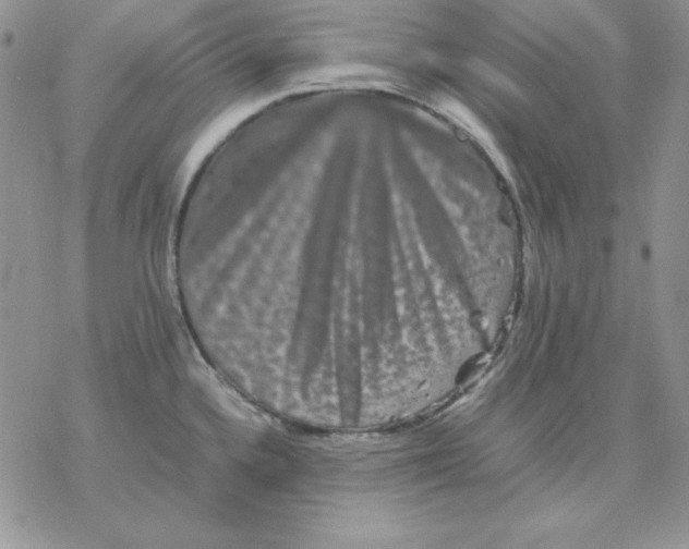 X0000077291336200611171617