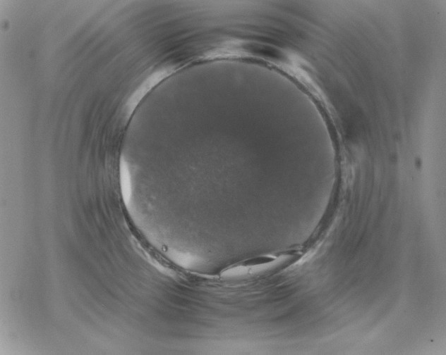 X0000077291337200611171617