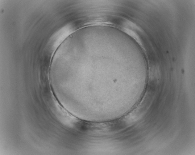 X0000077291338200611171618