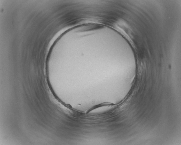 X0000077291339200611171618