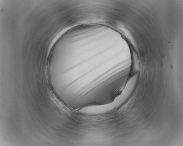 X0000077291340200611171618