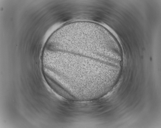 X0000077291341200611171618