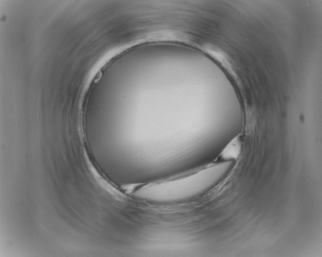 X0000077291342200611171618