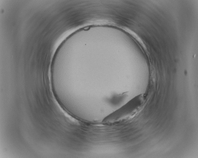 X0000077291343200611171618