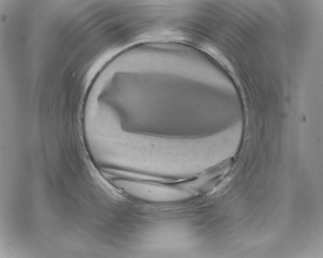 X0000077291344200611171618