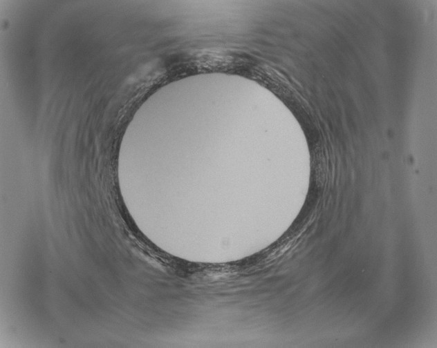 X0000077291345200611171617