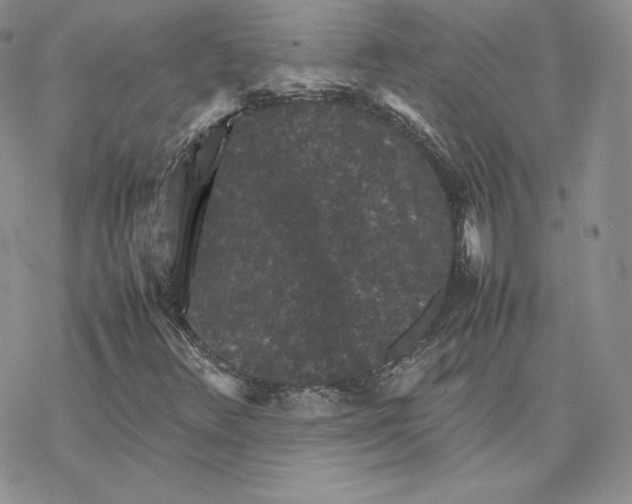 X0000077291348200611171617