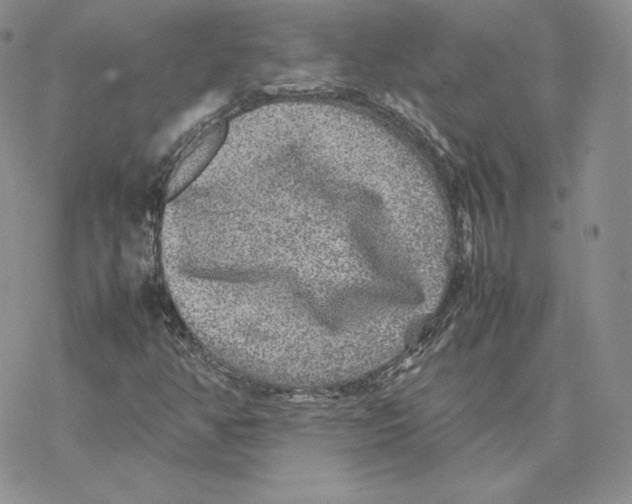 X0000077291350200611171617