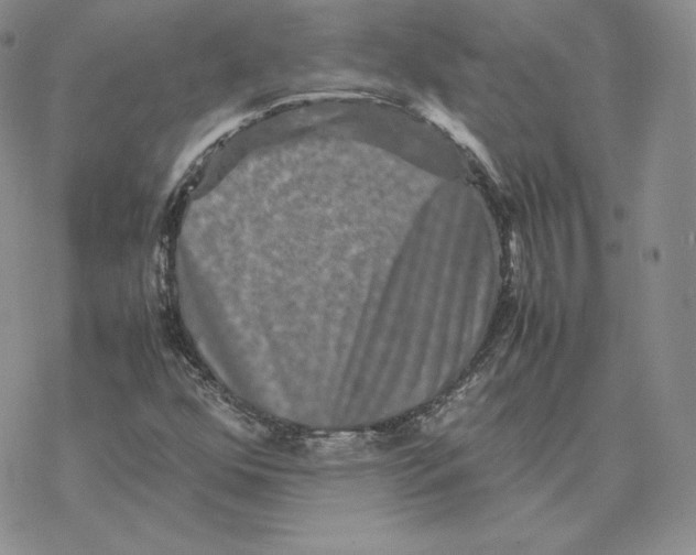 X0000077291352200611171617