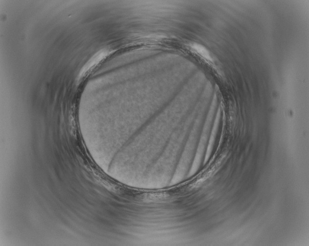 X0000077291354200611171617