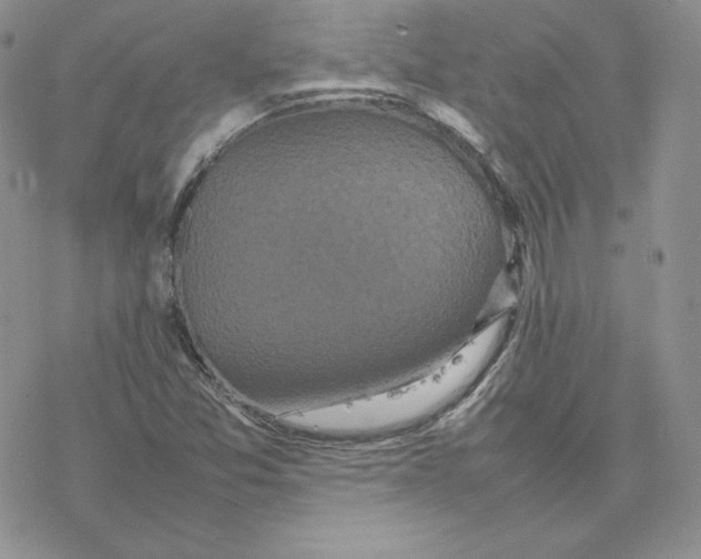 X0000077291357200611171617