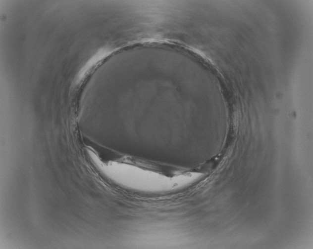 X0000077291359200611171617