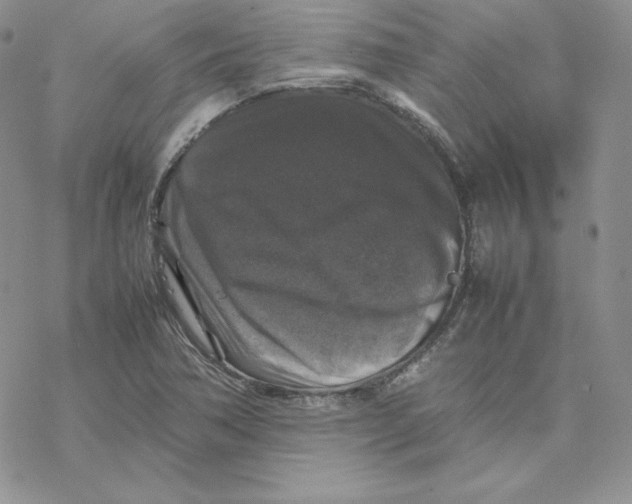 X0000077291362200611171617