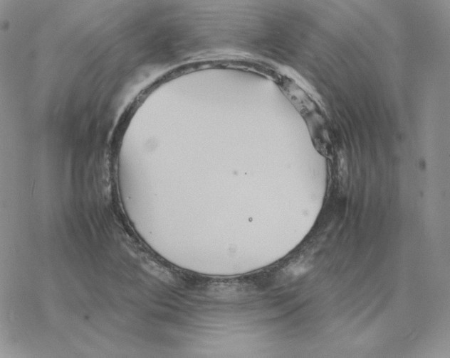 X0000077291364200611171617