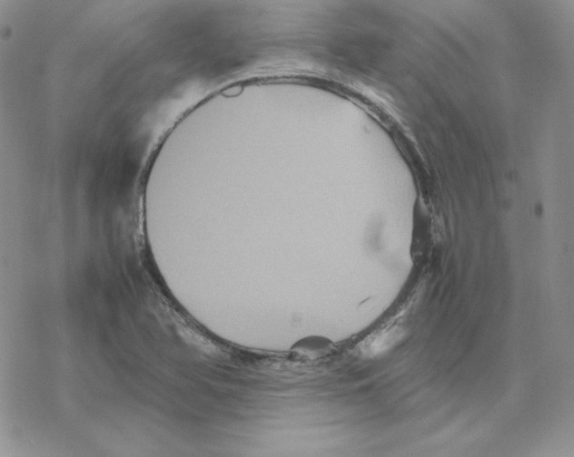 X0000077291366200611171616