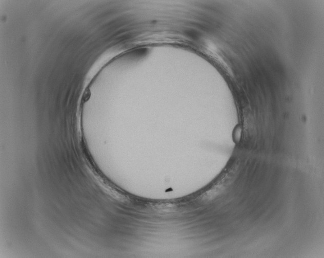 X0000077291370200611171616