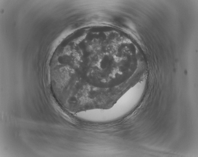 X0000077291371200611171616