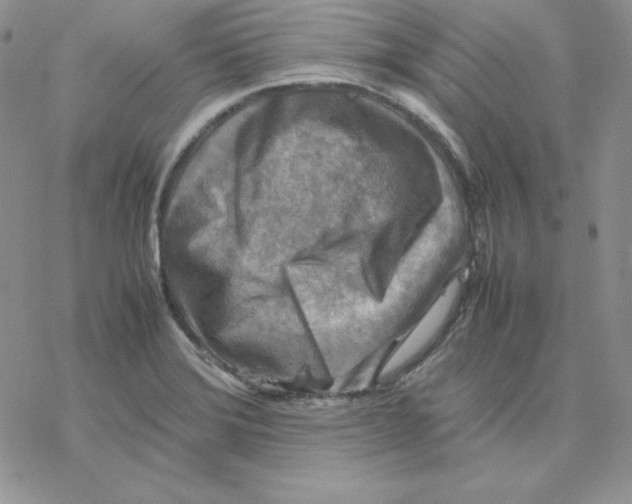 X0000077291372200611171616