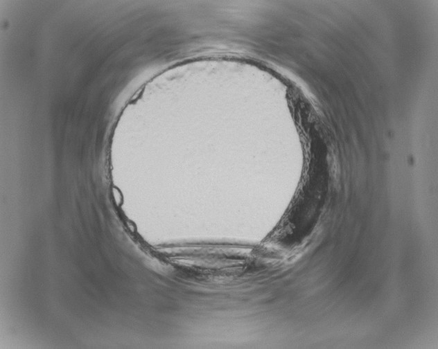 X0000077291375200611171616