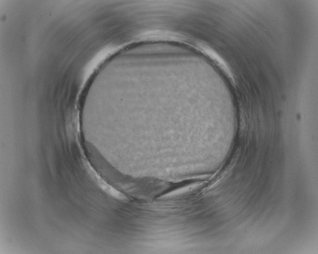 X0000077291376200611171616