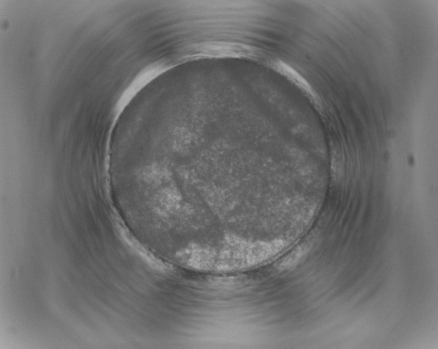 X0000077291378200611171616