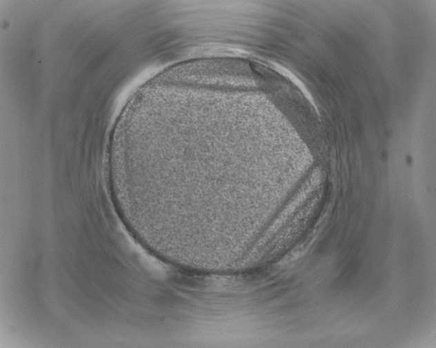 X0000077291379200611171616