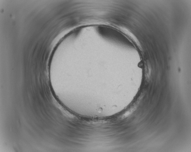 X0000077291380200611171616