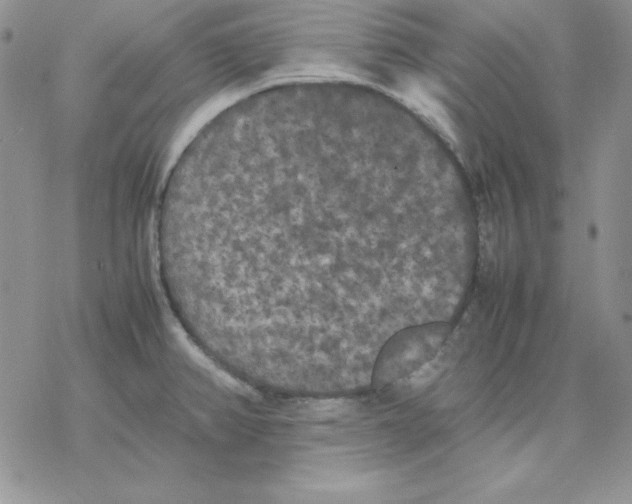 X0000077291382200611171616