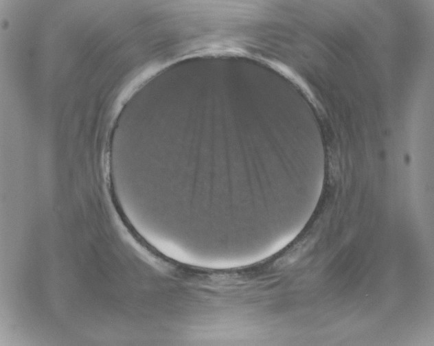 X0000077291383200611171616