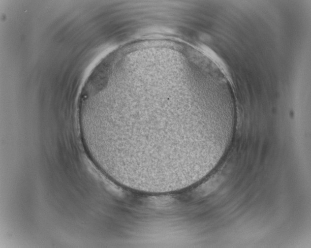 X0000077291384200611171616