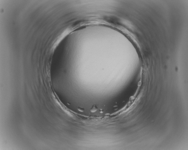 X0000077291385200611171616